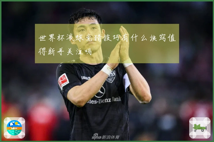 世界杯滚球竞猜技巧有什么诀窍值得新手关注吗