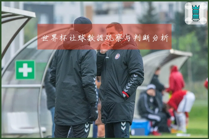 世界杯让球数据观察与判断分析