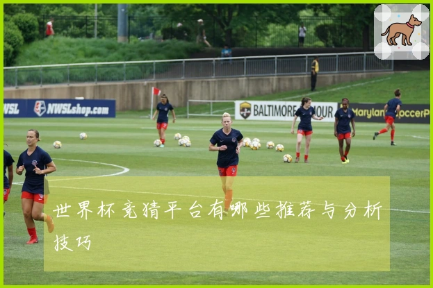 世界杯竞猜平台有哪些推荐与分析技巧