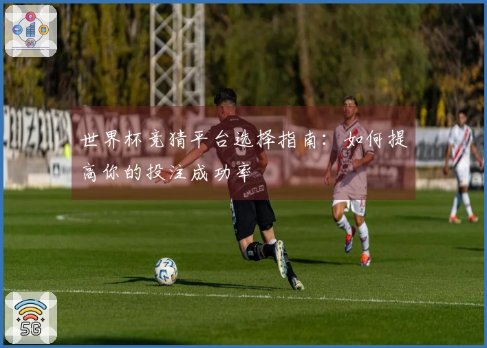 世界杯竞猜平台选择指南：如何提高你的投注成功率