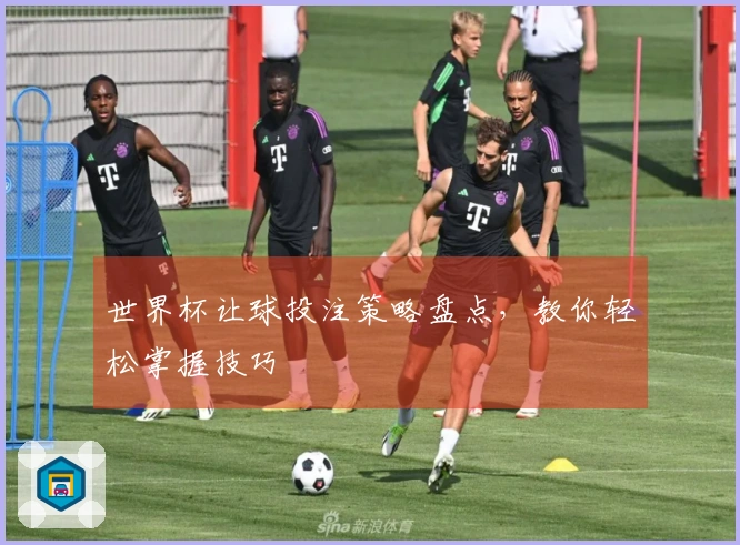 世界杯让球投注策略盘点，教你轻松掌握技巧