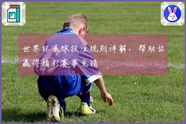 世界杯滚球投注规则详解，帮助你赢得精彩赛事竞猜