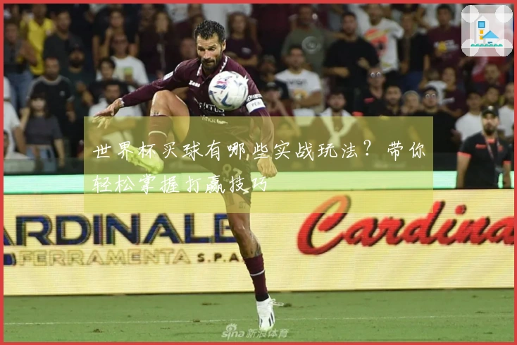 世界杯买球有哪些实战玩法？带你轻松掌握打赢技巧